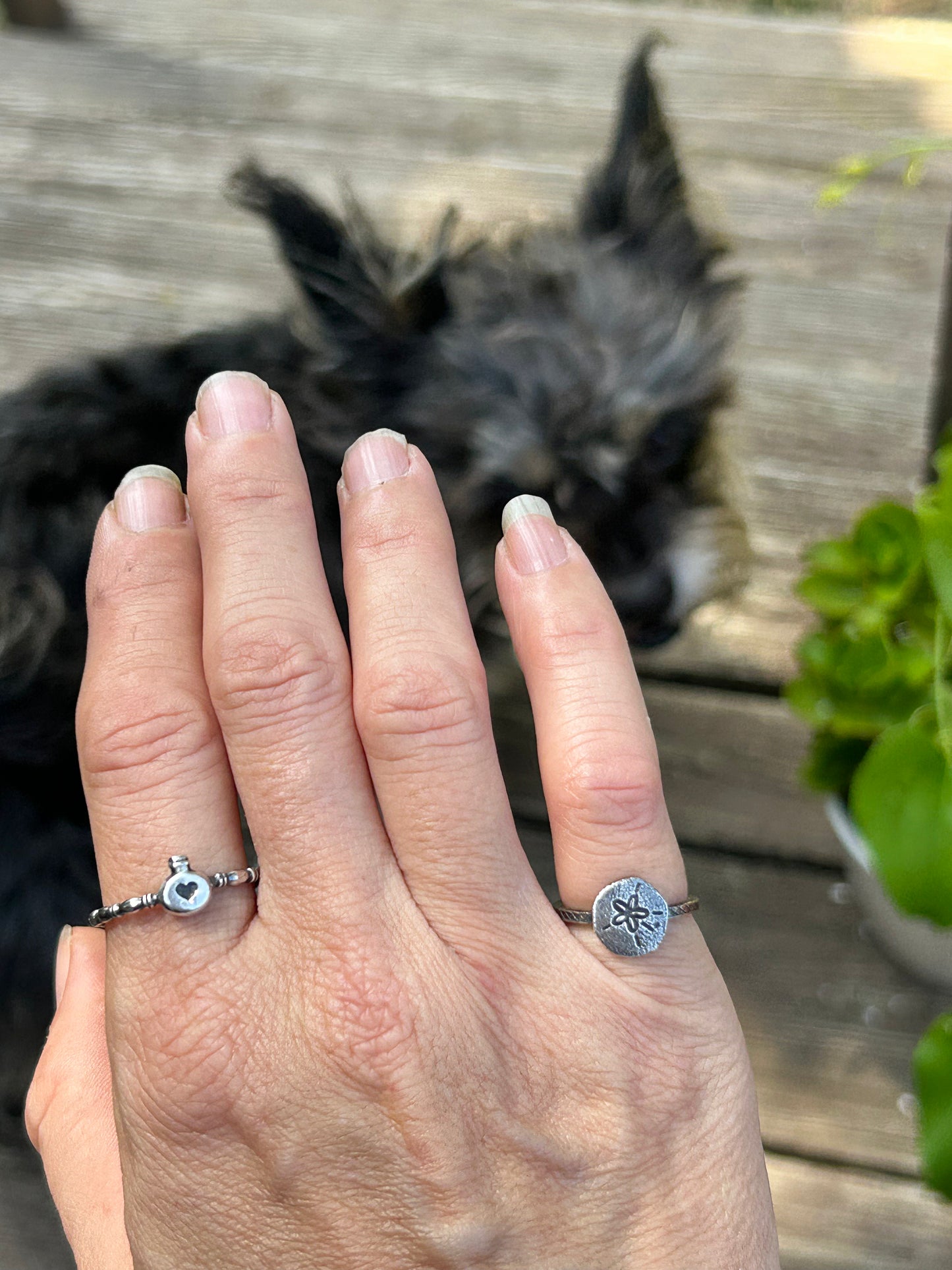 Sterling Silver Sand Dollar Ring- Beach Jewelry